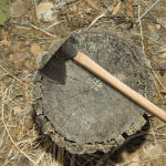 The Homesteader Forged Axe
